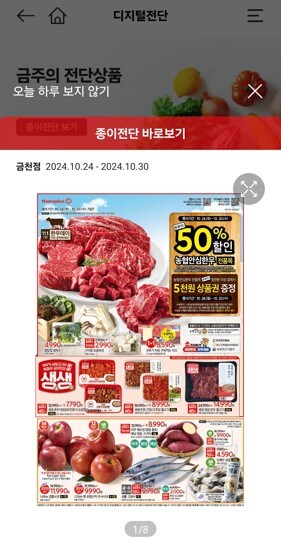 마이홈플러스앱 종이전단화면