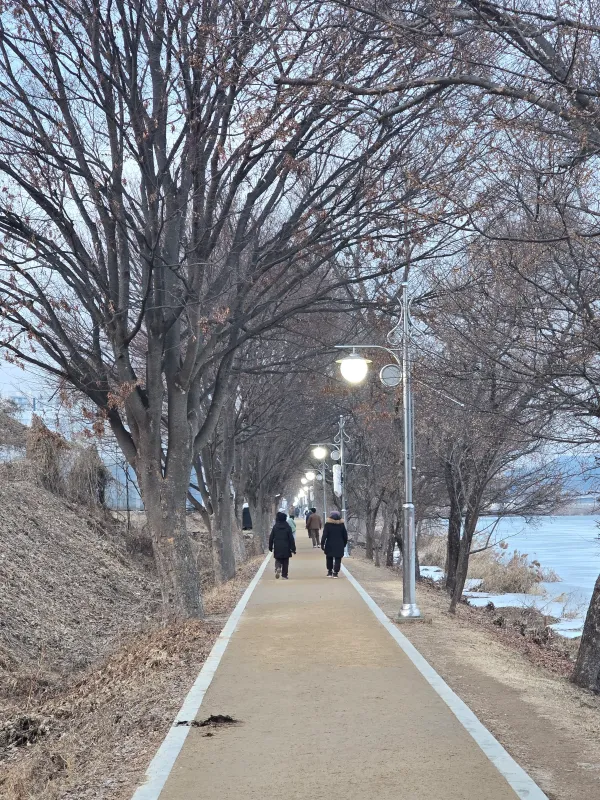양수리-두물머리-산책로-가로등