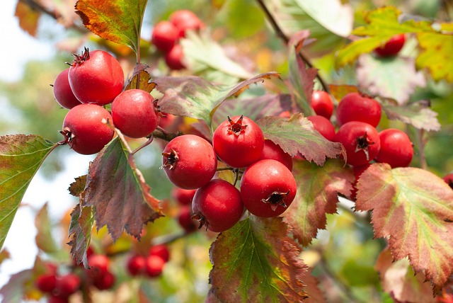 어깨 통증 8초만에 잡는법 9