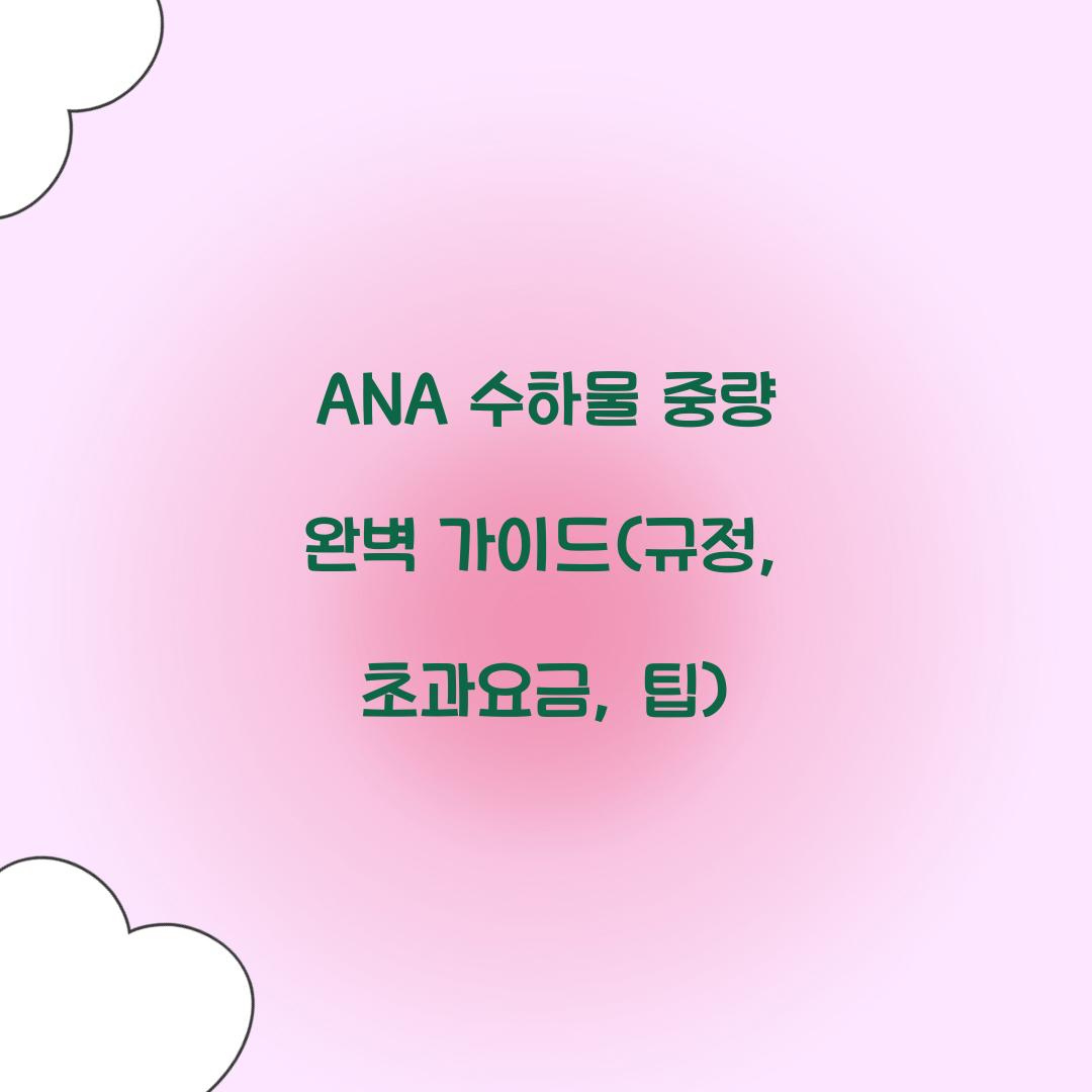 ANA 수하물 중량