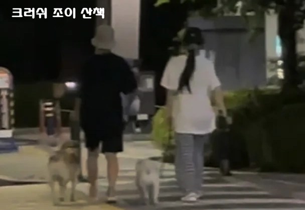 크러쉬 조이 산책