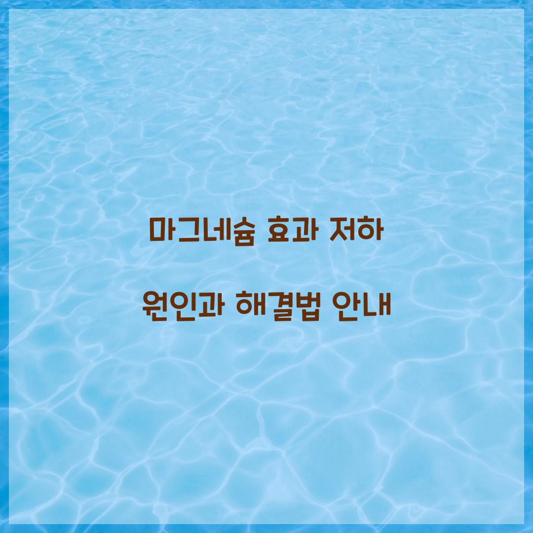 마그네슘 효과