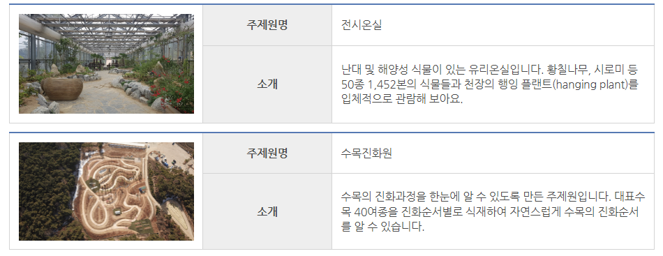 Alt 속성 문제 해결 설명 이미지