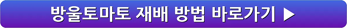 방울토마토 재배 방법_7