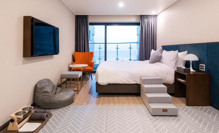 펫캉스 가능한 호텔 BEST 5