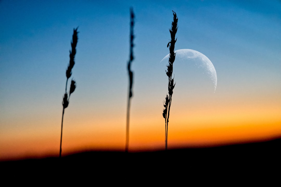 Transition