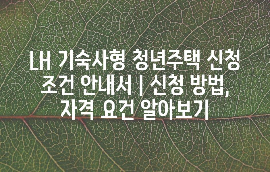 샘플 (43)