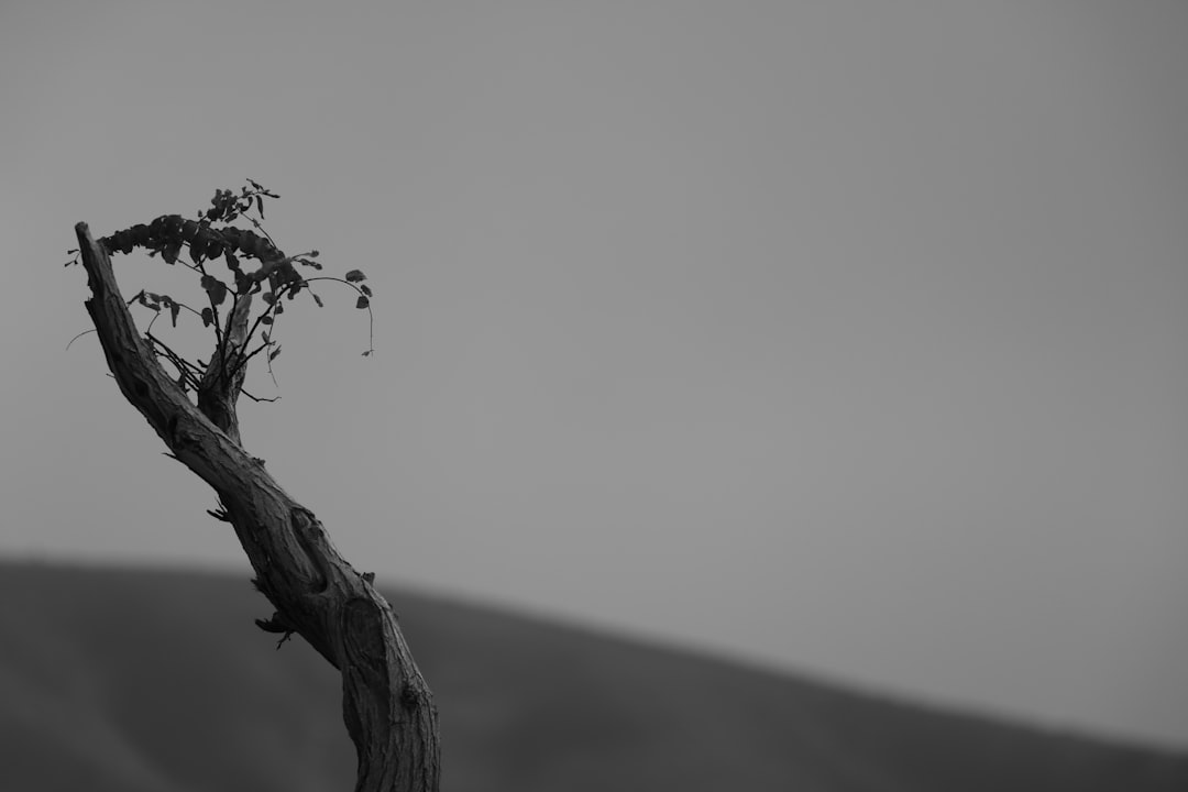 Expiration