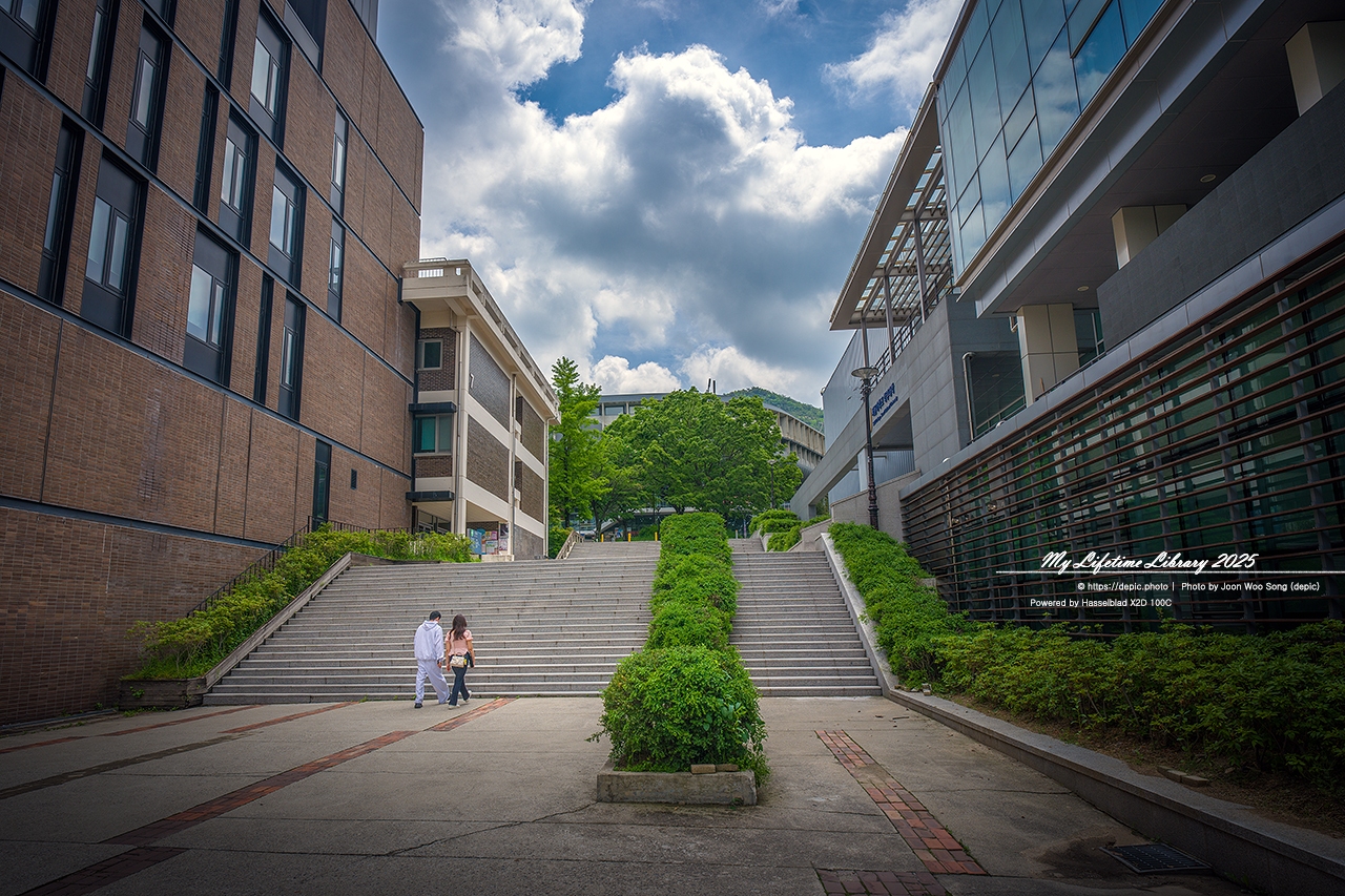 #봄 #캠퍼스 #대학교 #서울대 #서울 #오후 #서울대학교