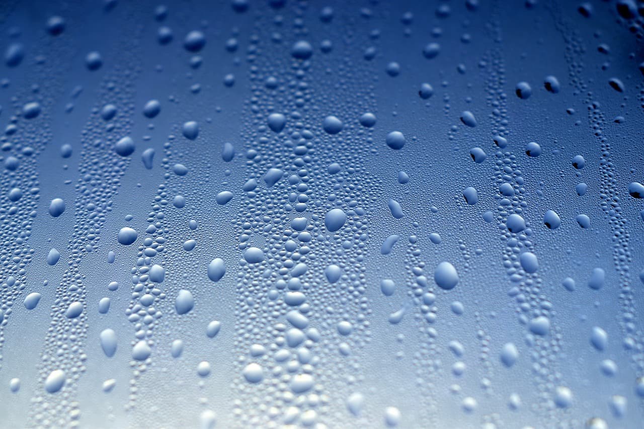 스위치온 다이어트 단백질쉐이크