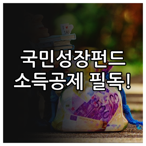 국민성장펀드 소득공제 극대화를 위한 ..