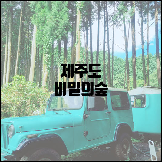 비밀의숲