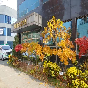 대전테크노요양병원