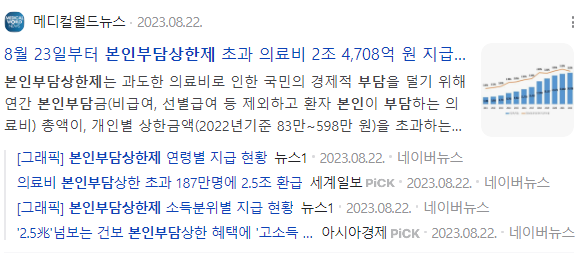 본인부담상한제