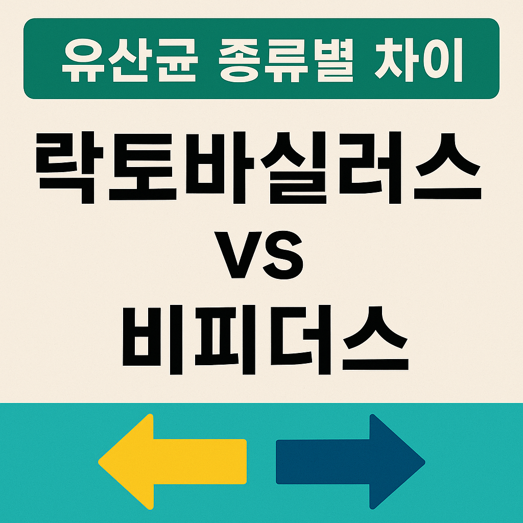 락토바실러스 vs 비피더스