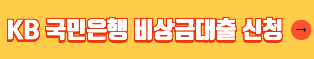 KB 국민은행 비상금대출 자격조건 금리 신청방법 서류