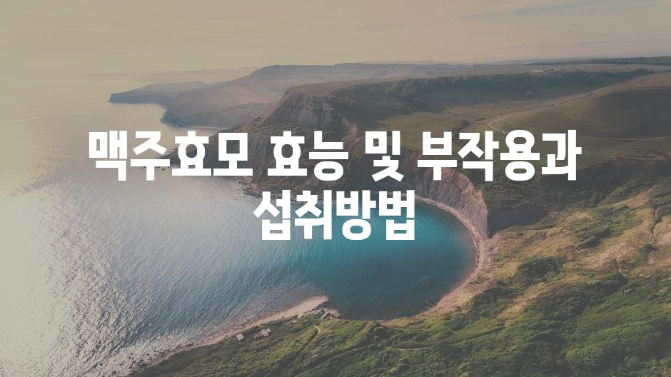샘플 (11)