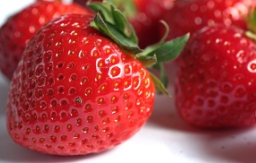 딸기 보관법