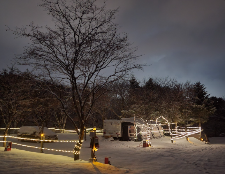 경기-포천-위드독스-in-포천-캠핑장-사진-입니다.
