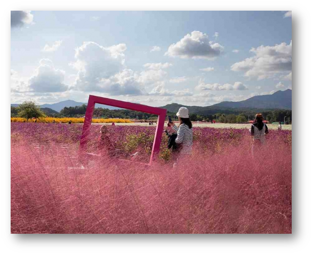 양주 나리공원4