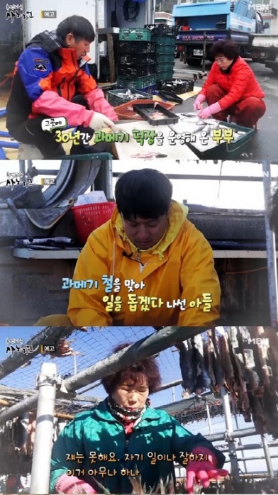 티비출현