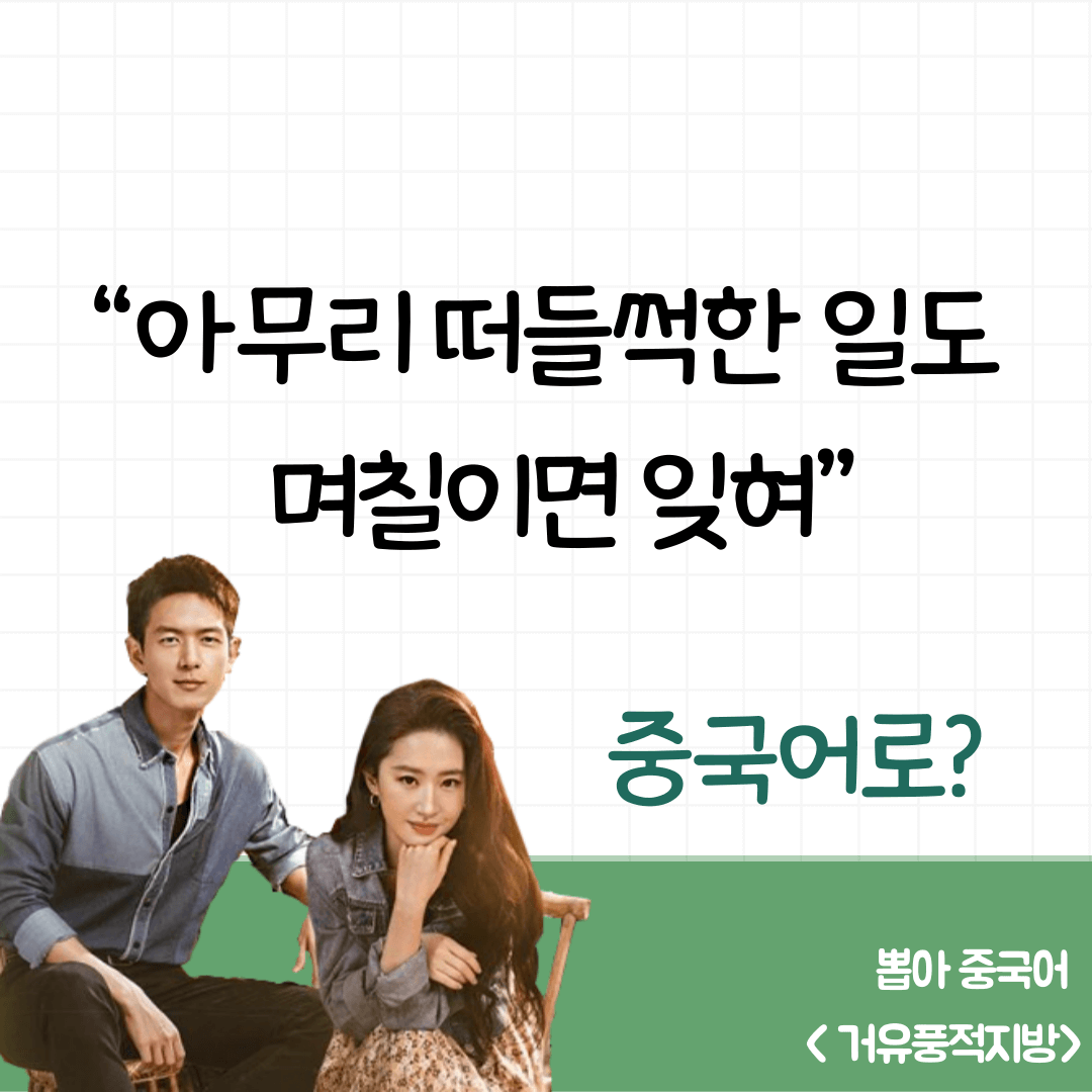 이지파생활