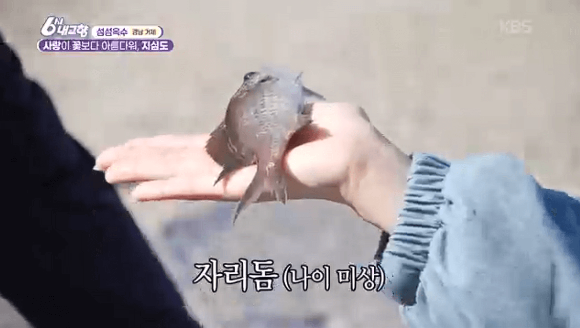 [6시내고향]경남 거제 낚시 야외 웨딩(결혼식) 예약 연락처 정보