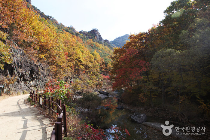 주왕산 가을 단풍