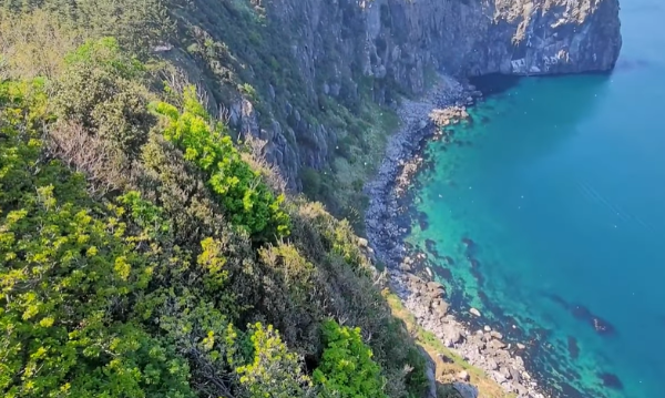 울릉도,독도여행