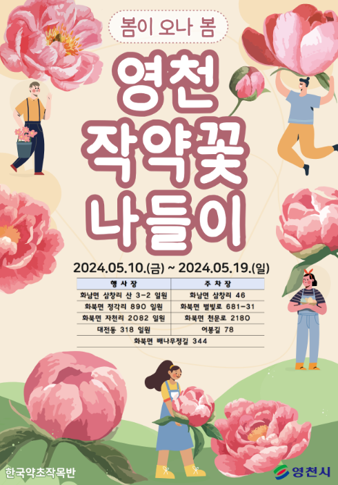 영천 작약꽃 축제