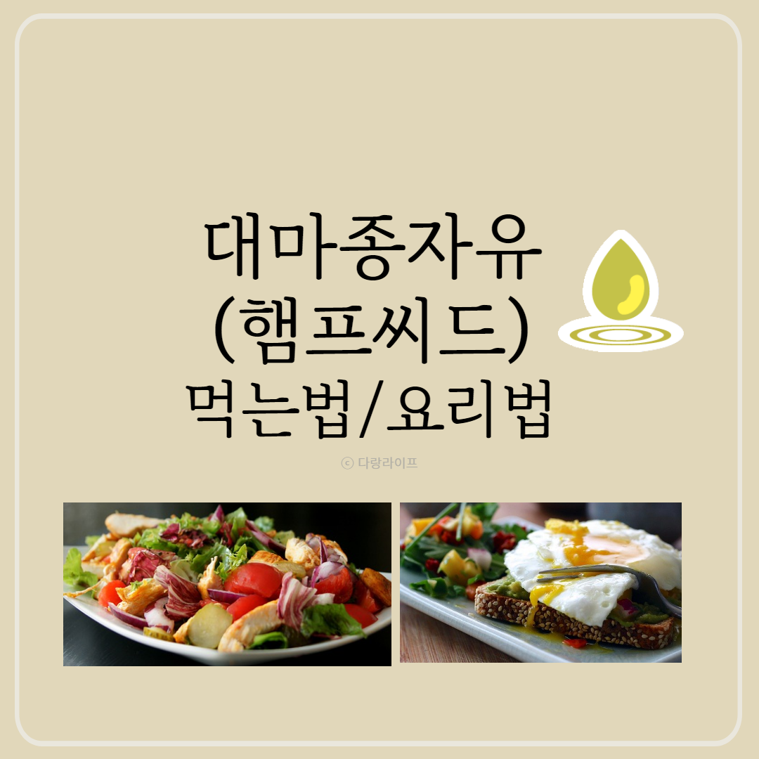 대마종자유 햄프씨드 먹는법 요리법