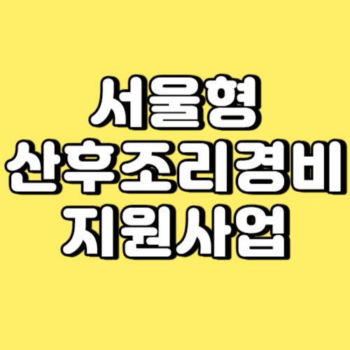 서울형 산후조리경비 지원사업 썸네일