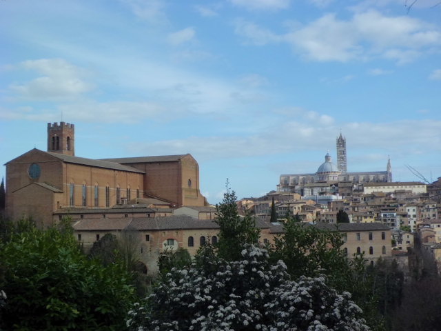 이탈리아 시에나 대성당과 캄포 광장 그리고 산 도메니코 성당