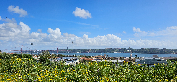 툭툭이 자유여행