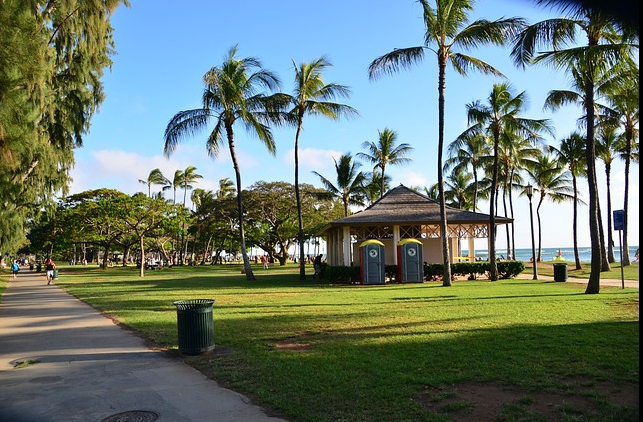 하와이 와이키키