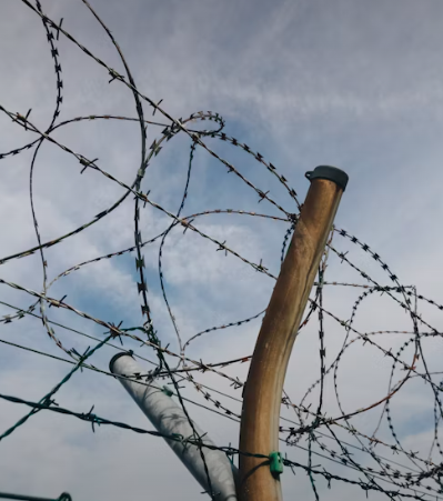 한동훈장관의 가석방 없는 종신형, 무기형