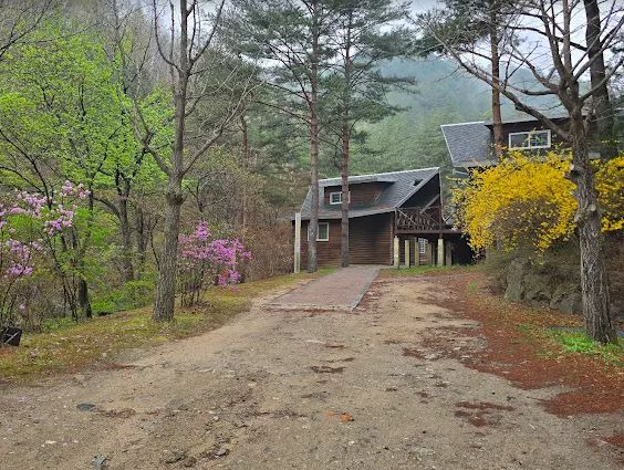 태백고원자연휴양림