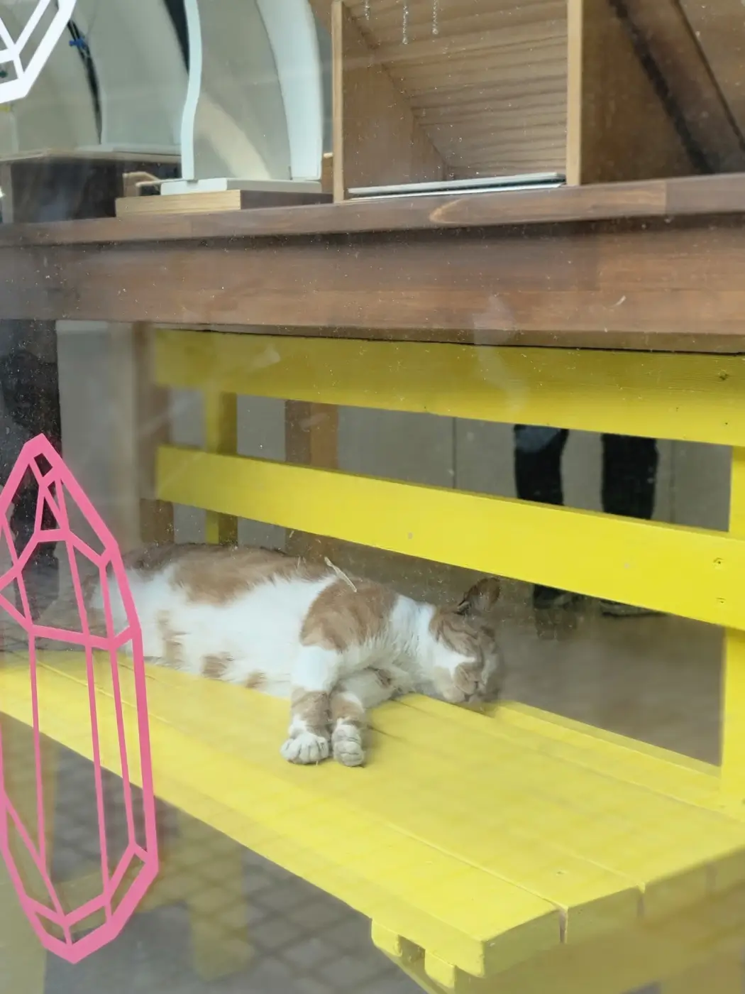 고양이가 있는 가게