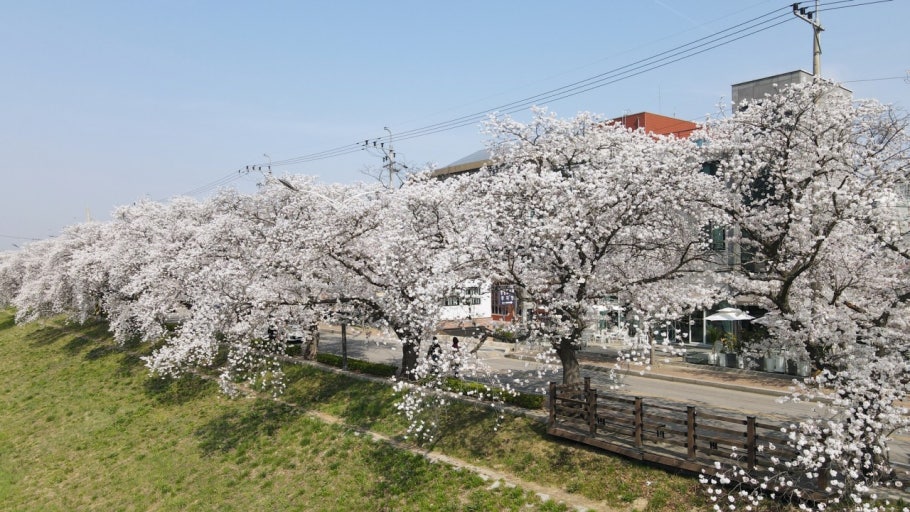 정읍 가볼만한곳 베스트10
