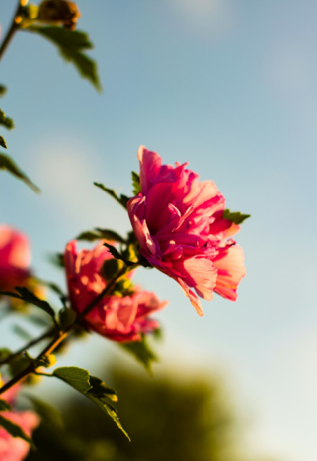 봄부터 겨울까지 계절별 컬러와 심리적 효과 분석
