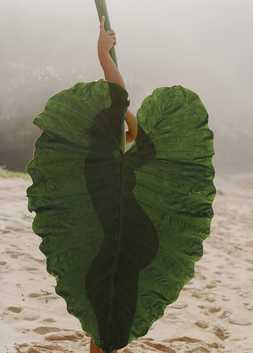 나탈리 카르푸셴코