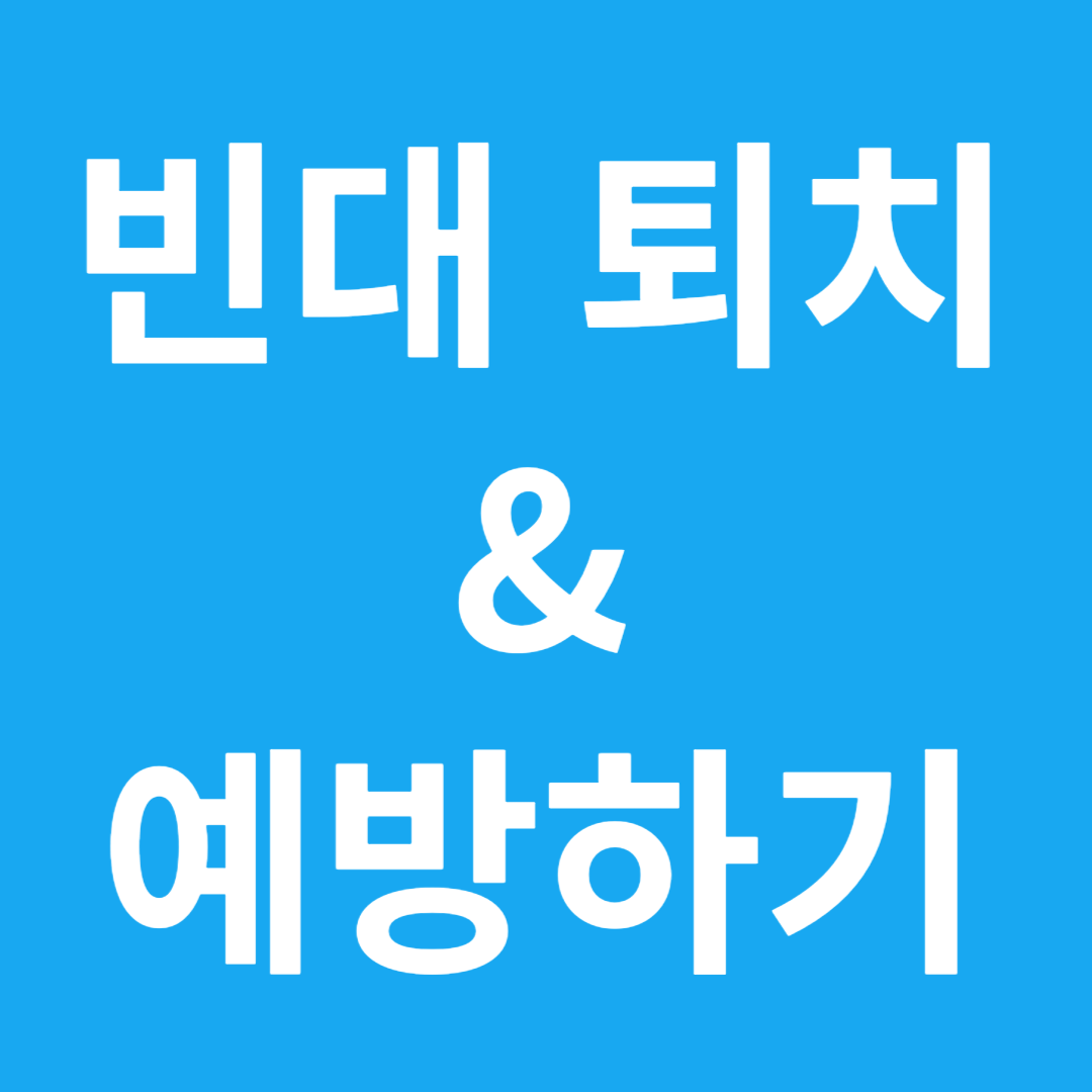빈대 퇴치방법 썸네일