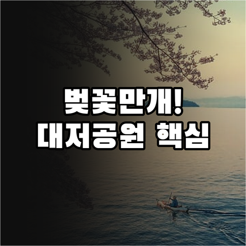 부산 강서구 벚꽃 만개 시기 및 대저..