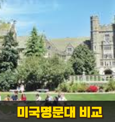 미국 명문대 비교
