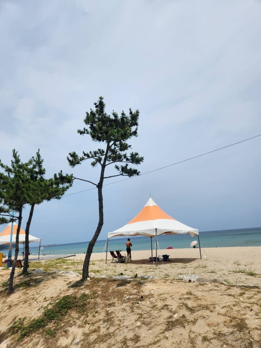 양양 동호해변 &amp; 앤드앤드 양양 카페