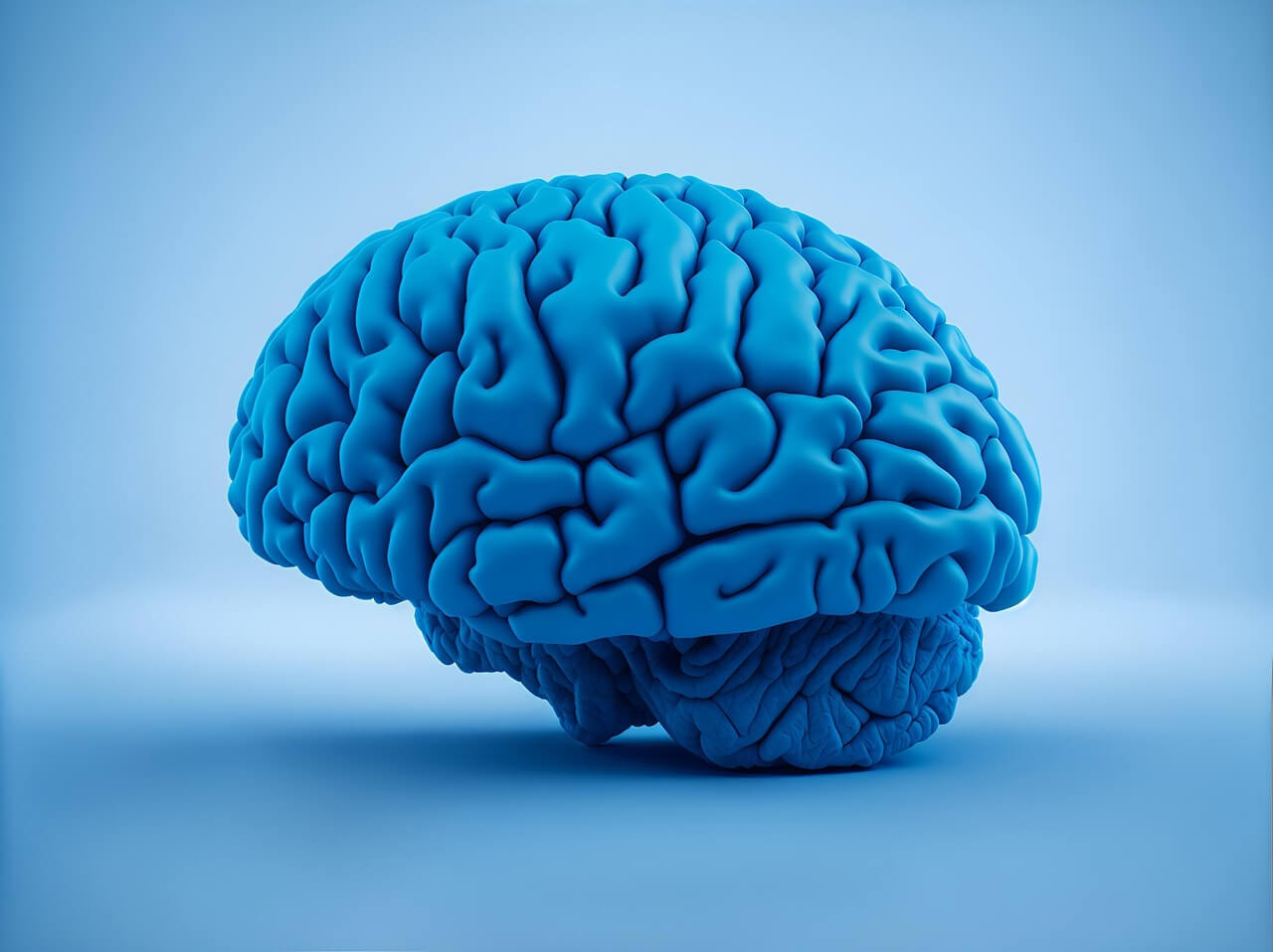 포스파티딜 세린 효능