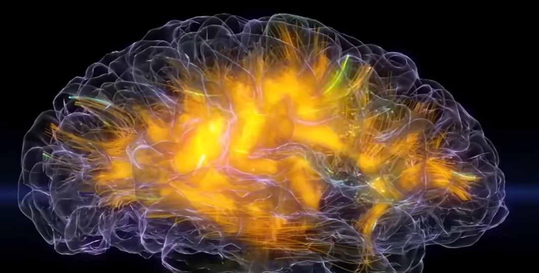 크레아티닌 정상수치