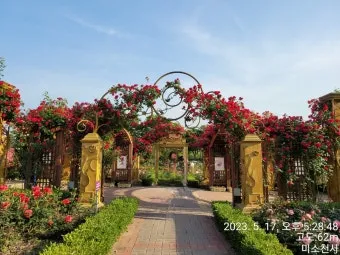 나는 빛나는 별처럼 느꼈습니다 한밭수목원 클레마티스 전시회 관람기_12