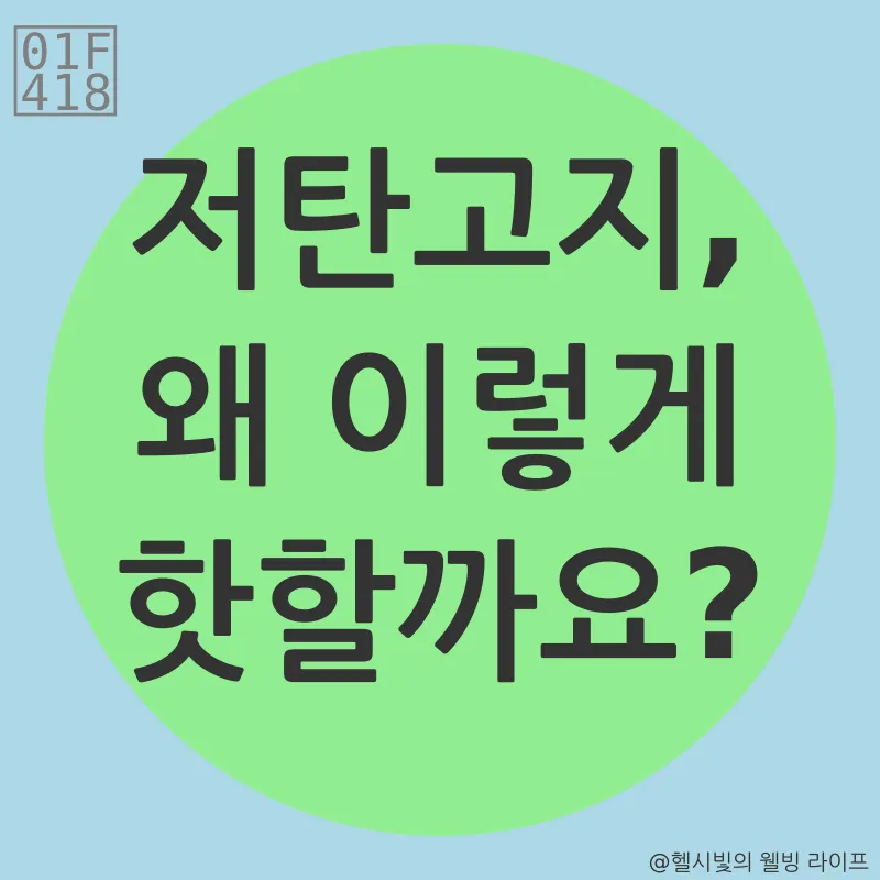 저탄고지 식단_1