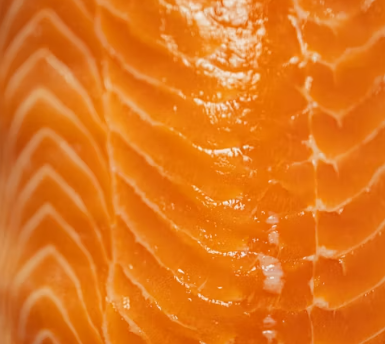 골다공증에 좋은 음식 영양제 식단